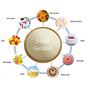 gelatin price quality gelatin halal beef gelatin production